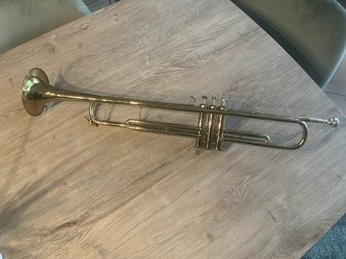 Alte kühne hoyer - alte,